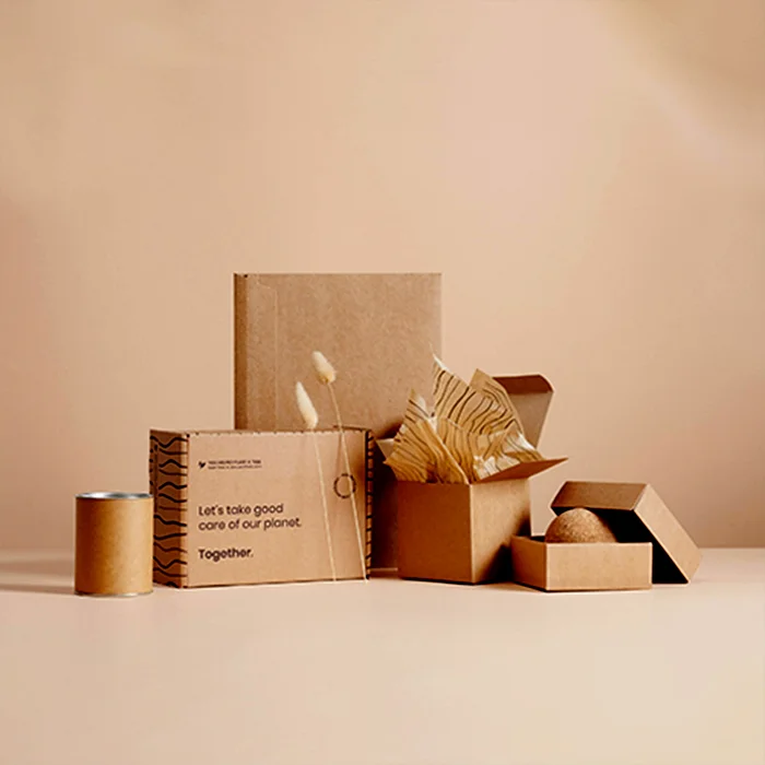 Eco Friendly Boxes - Image 7